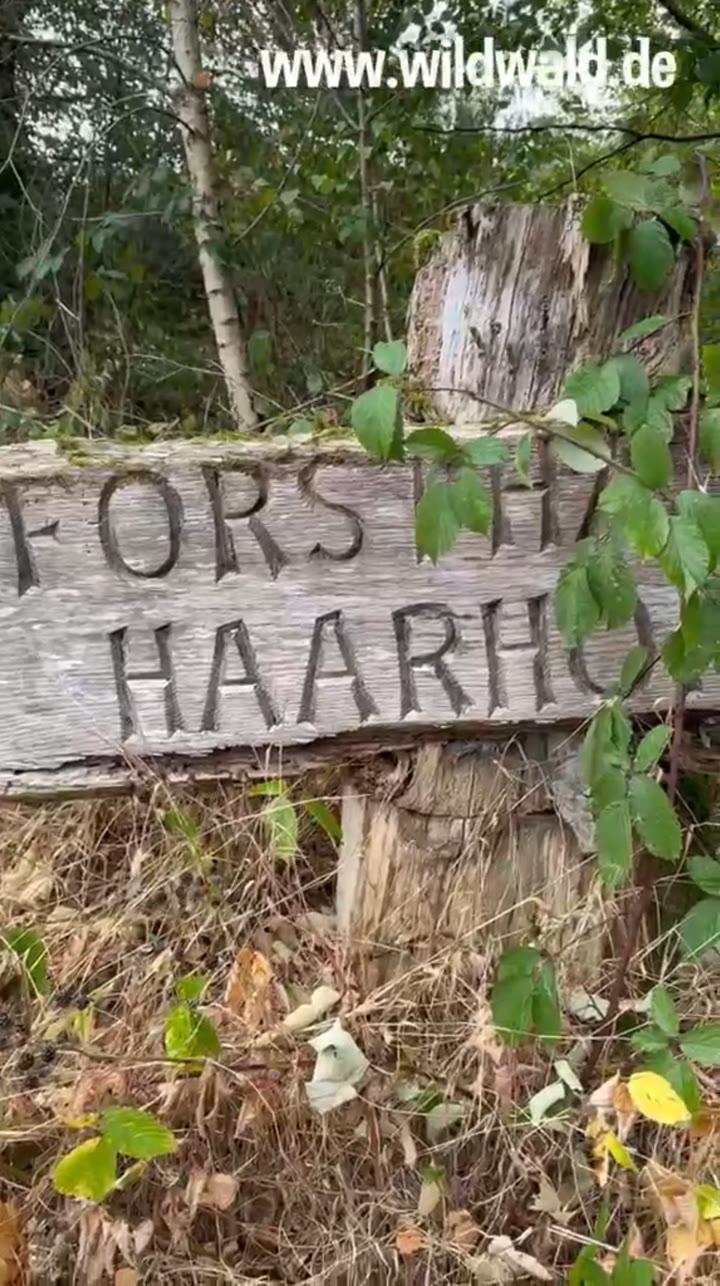 Mein Lieblingsort – Linn aus Oesbern über den Haarhof